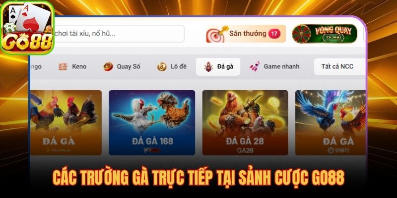 Thomo và Sabong hai nguồn trận quốc tế phủ sóng tại đá gà GO88