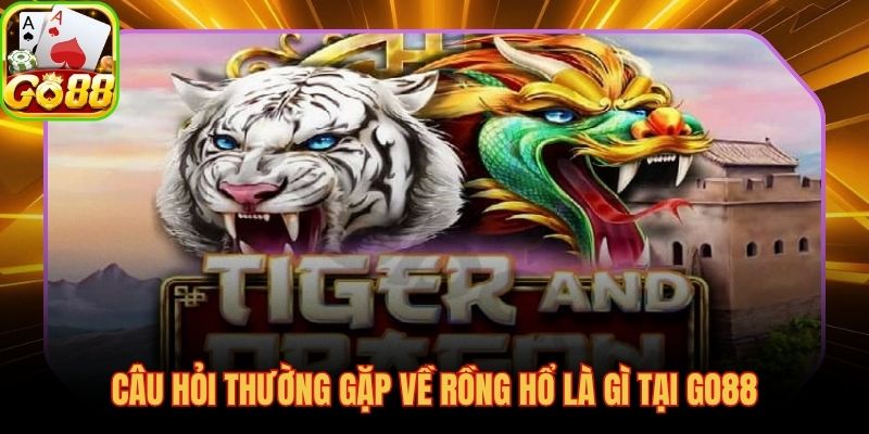 Giải đáp thắc mắc rồng hổ là gì cho người mới tại GO88