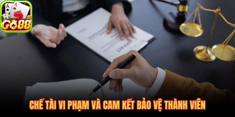 Bốn cấp độ xử phạt và quyền lợi được bảo đảm theo điều khoản