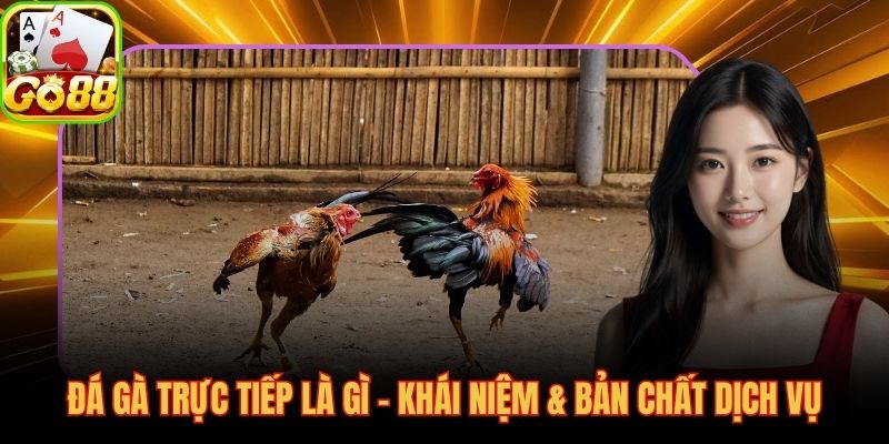 Đá gà trực tiếp là gì, xem và cược song song theo thời gian thực
