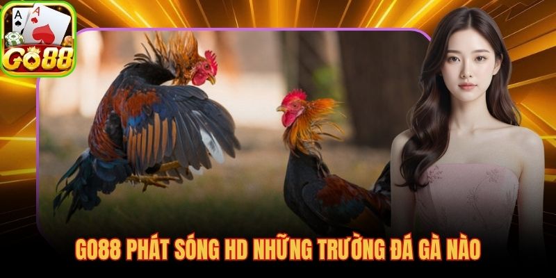 Hai đấu trường lớn nhất khu vực Thomo và Philippines phát sóng HD