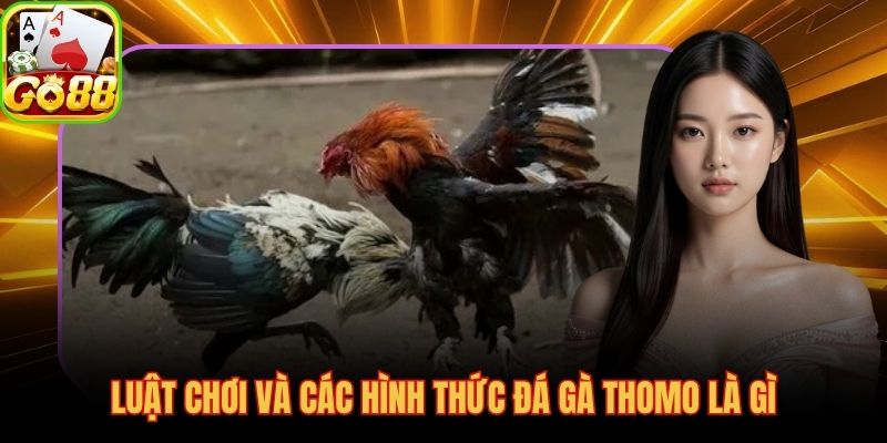 Quy trình năm giai đoạn và ba thể thức thi đấu tại Thomo