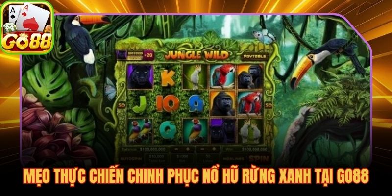 Kỷ luật quản lý vốn và demo, nền tảng phiên chơi bền vững