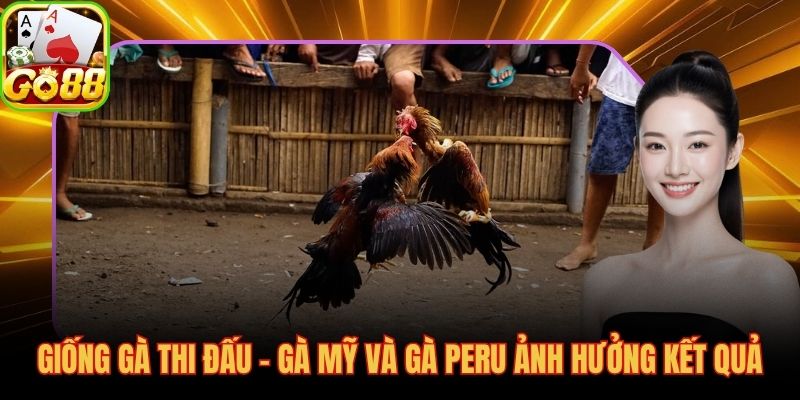 Tiêu chí nhận định chiến kê trước trận tại sảnh GO88