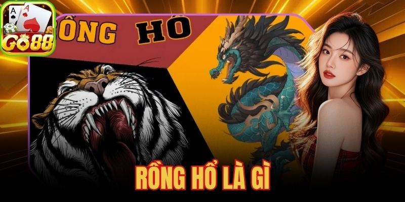 Rồng Hổ Là Gì