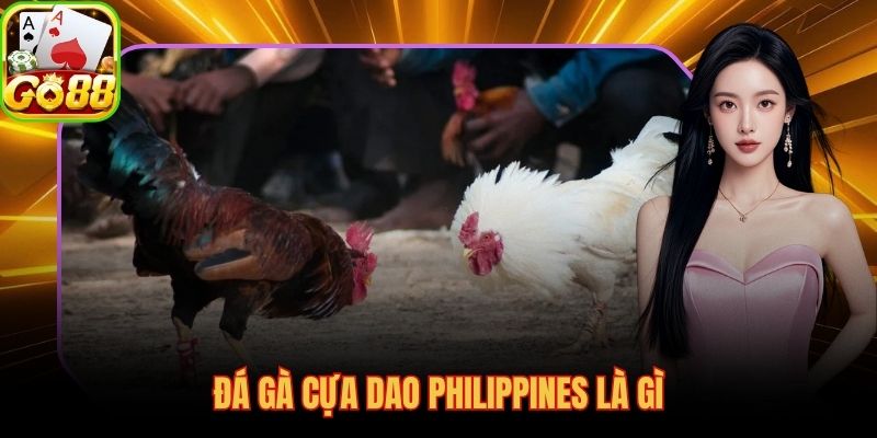 Đá gà cựa sắt là gì với cựa kim loại sắc bén và trận đấu chớp nhoáng