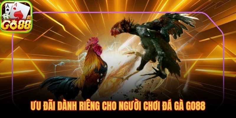 Thưởng nạp đầu 100% và hoàn tiền thua hàng tuần tại đá gà GO88